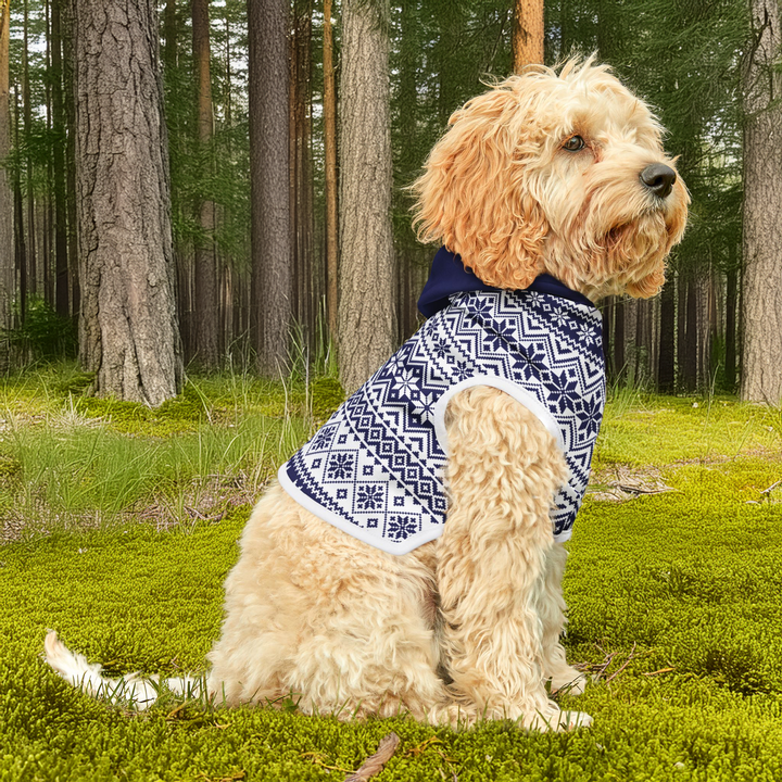 Arctic Night Dog Hoodie — Fair Isle Winter Pet Hoodie