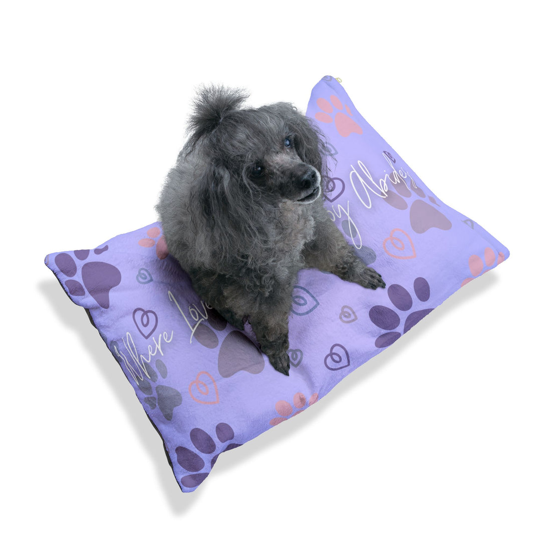 Pawsitive Pet Bed for Comfortable and Cozy Pets